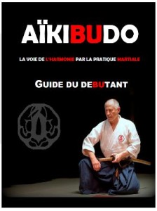 Guide du débutant